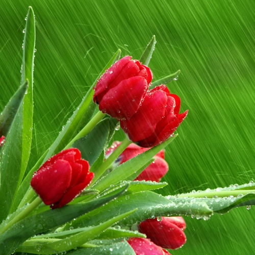 飼料廠退貨流程詳解